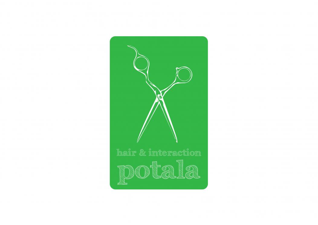 hair&interaction potala