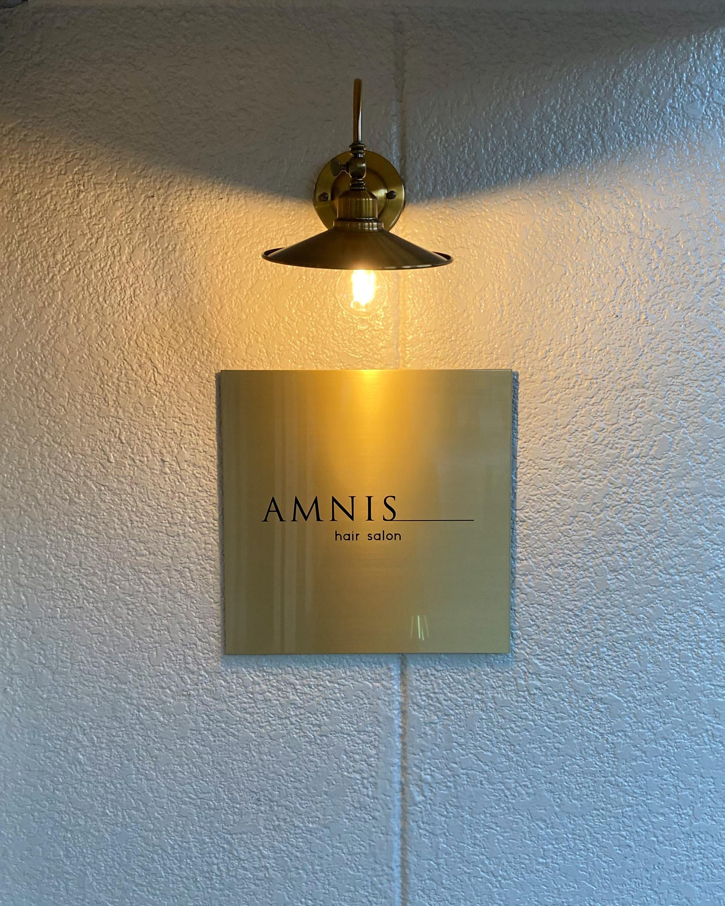 A M N I S hair salon