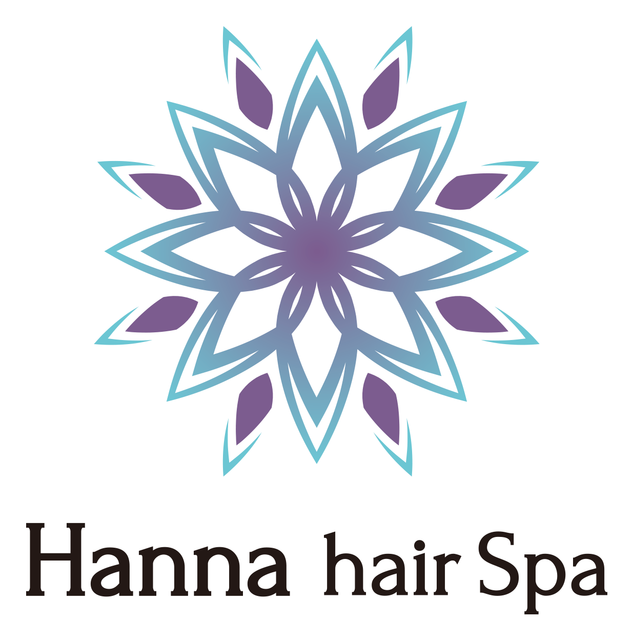 Hanna hair spa